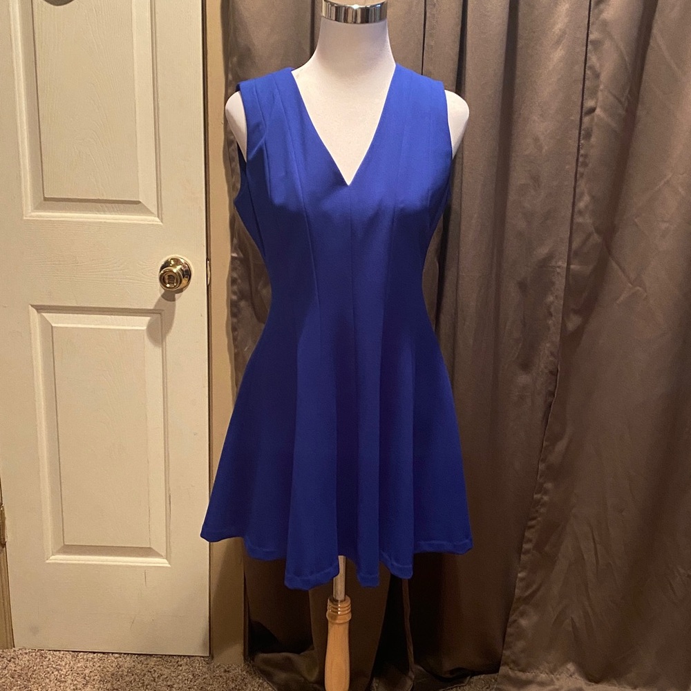 Calvin Klein Royal Blue and Cream Dress